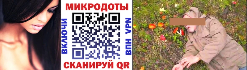 Галлюциногенные грибы GOLDEN TEACHER  блэк спрут ССЫЛКА  Гусиноозёрск 
